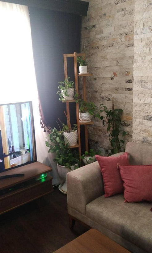 استند چوبی گل مدل دیوار مجموعه سه عددی آقای نجار