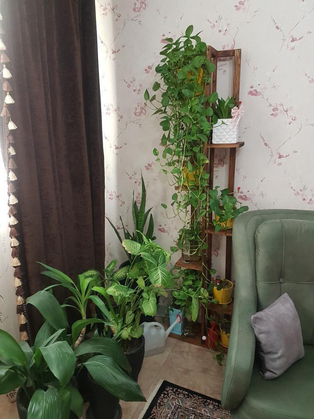 استند چوبی گل مدل دیوار مجموعه سه عددی آقای نجار
