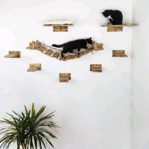 پارک و پل چوبی گربه آقای نجار