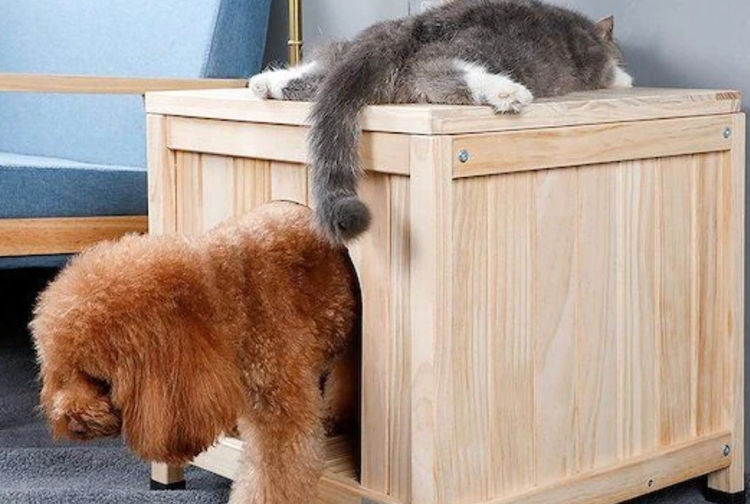 خانه حیوانات چوبی آقاینجار