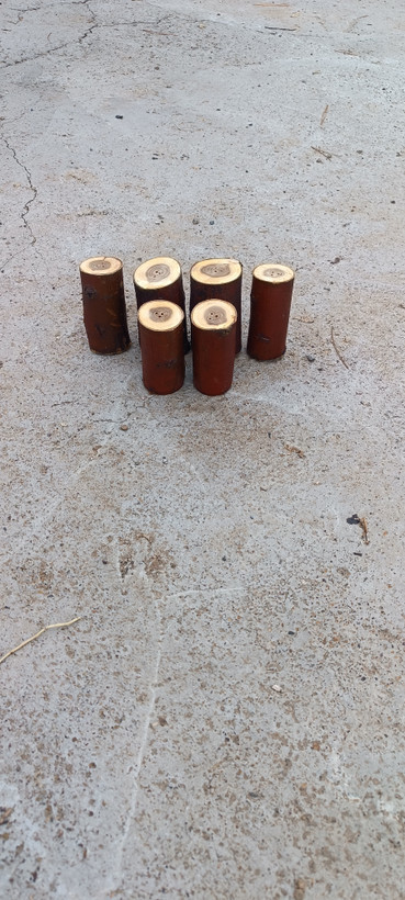 نمک پاش تنه درختی آقای نجار