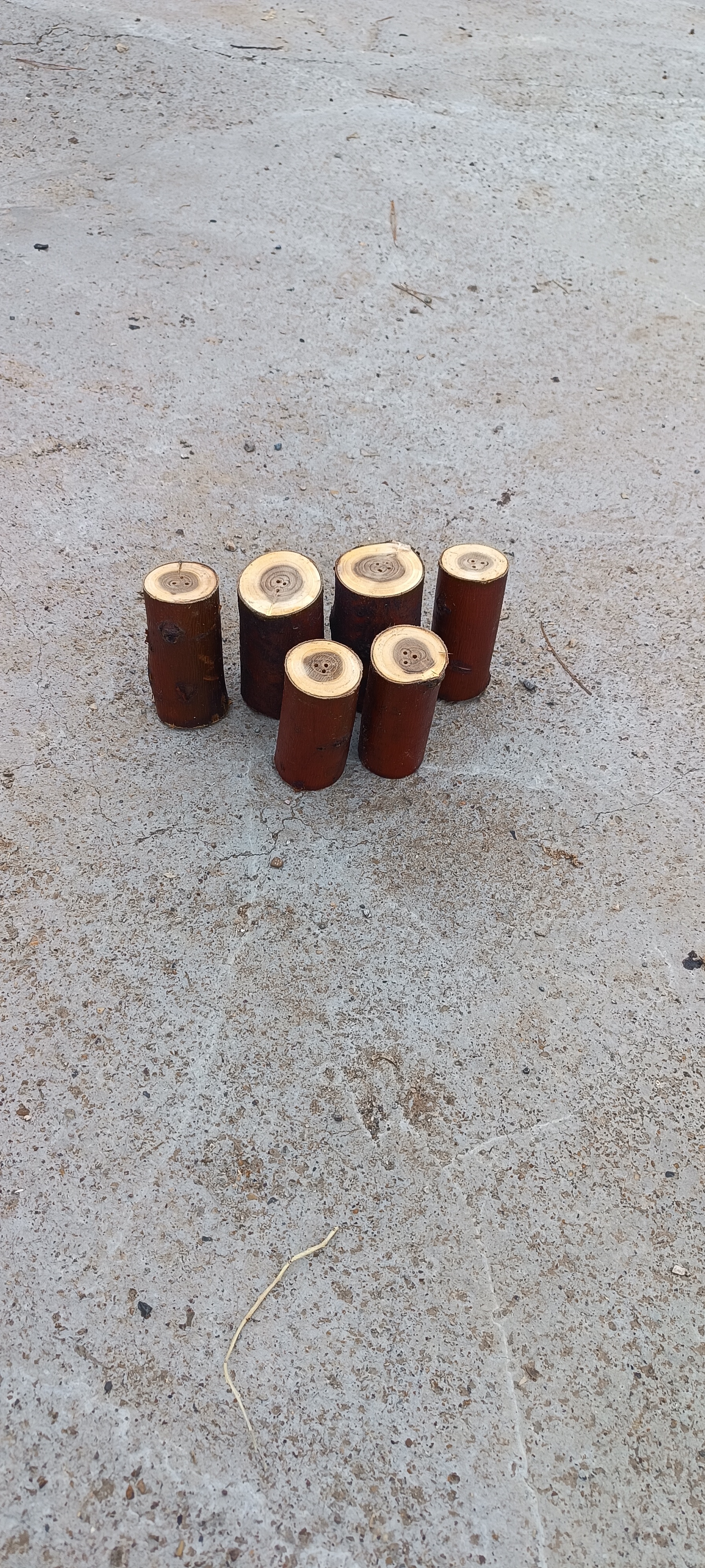 نمک پاش تنه درختی آقای نجار
