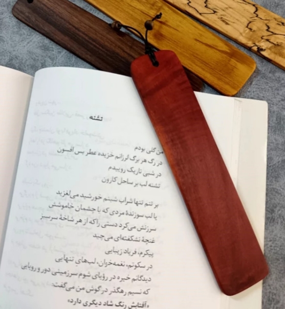 نشانگر کتاب آقای نجار