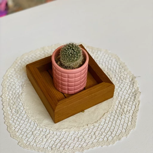 سینی کوچک ماگ آقای نجار