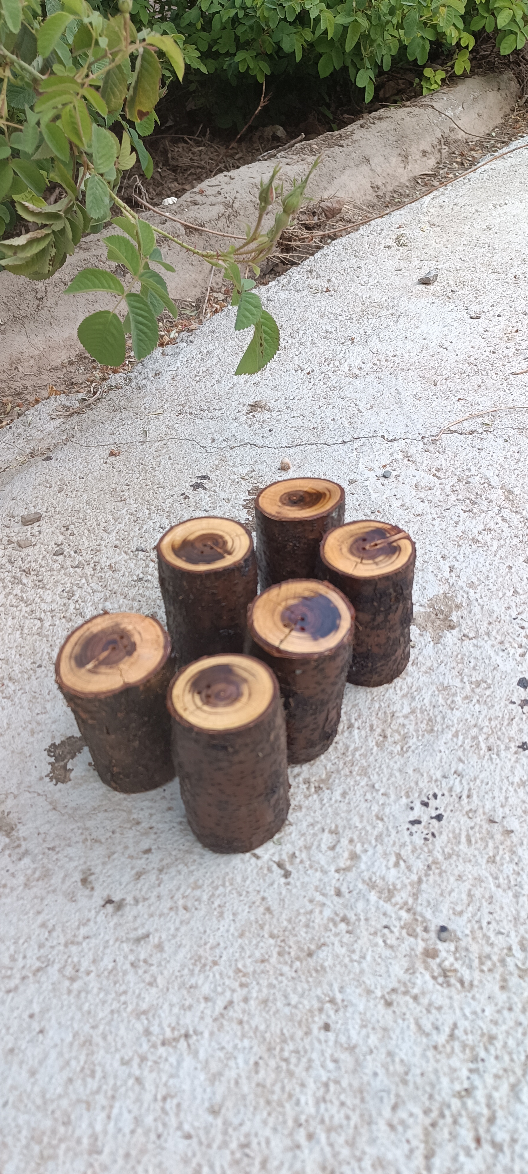 نمک پاش تنه درختی آقای نجار