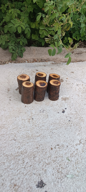 نمک پاش تنه درختی آقای نجار