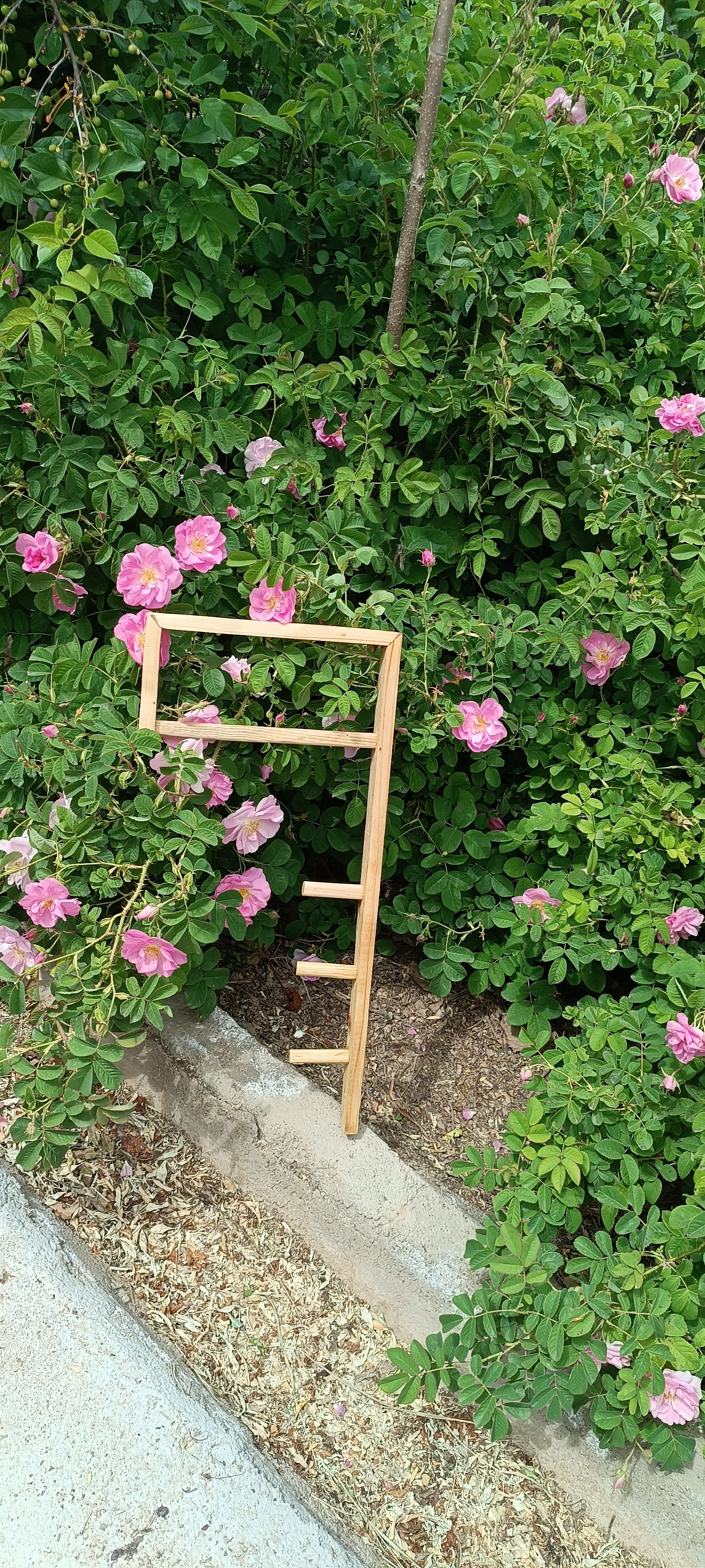 رگال دیواری آقای نجار