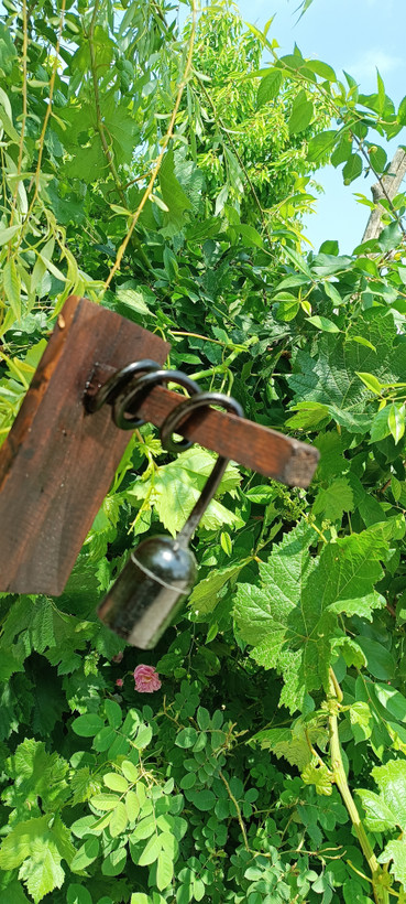 لوستر دیواری مدرن آقای نجار