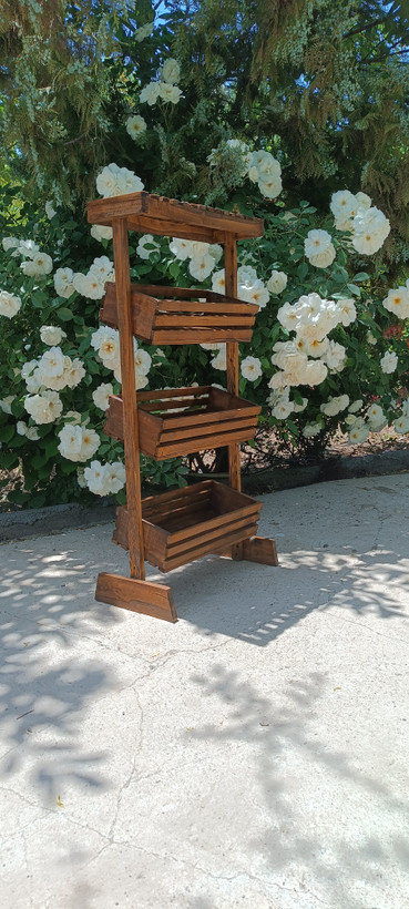جا سیبزمینی پیاز پایه دار آقای نجار