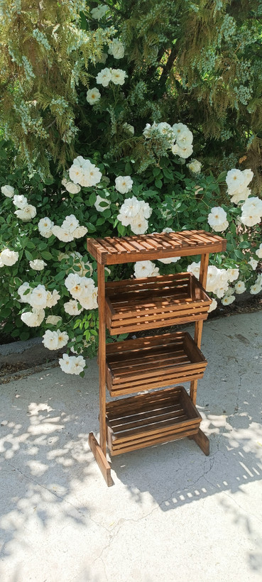 جا سیبزمینی پیاز پایه دار آقای نجار