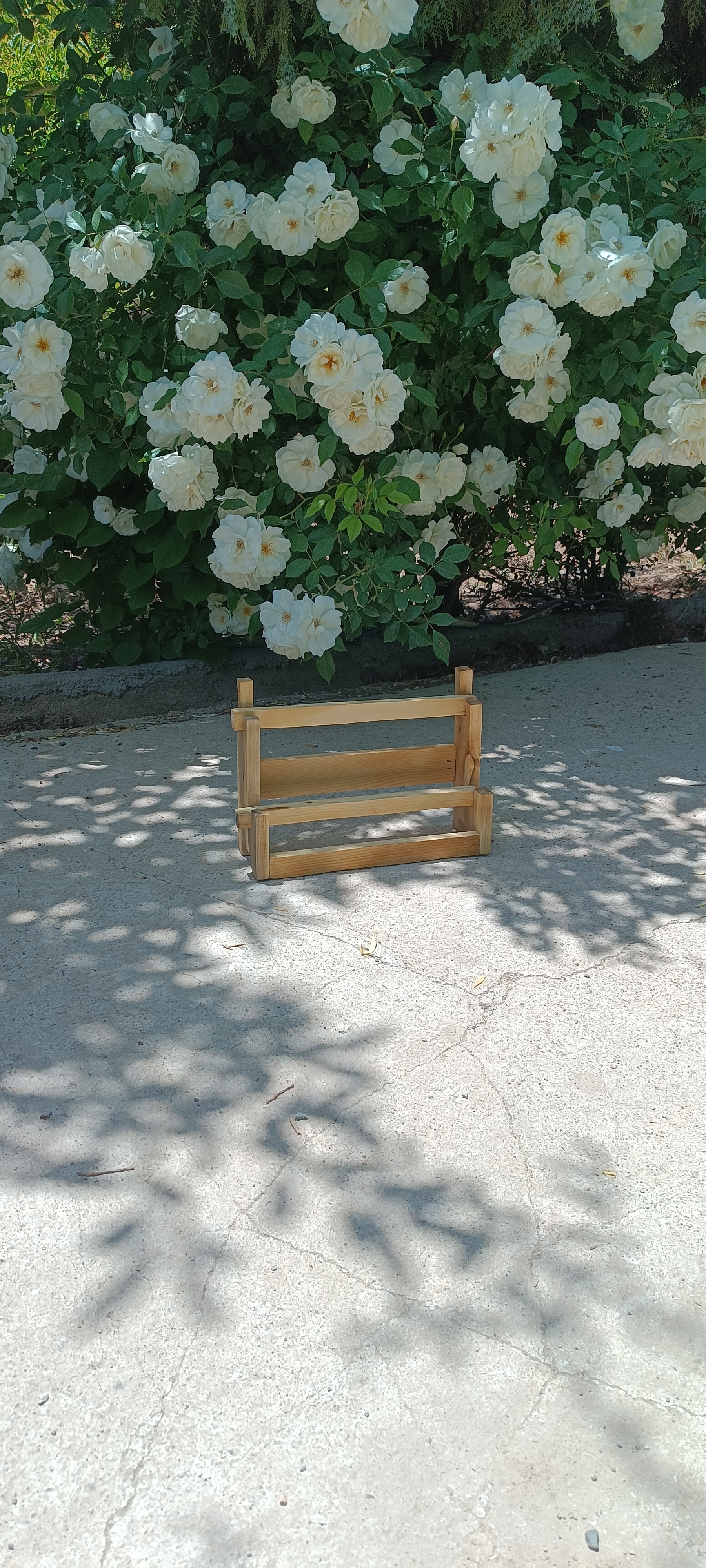 استند دو رول آقای نجار