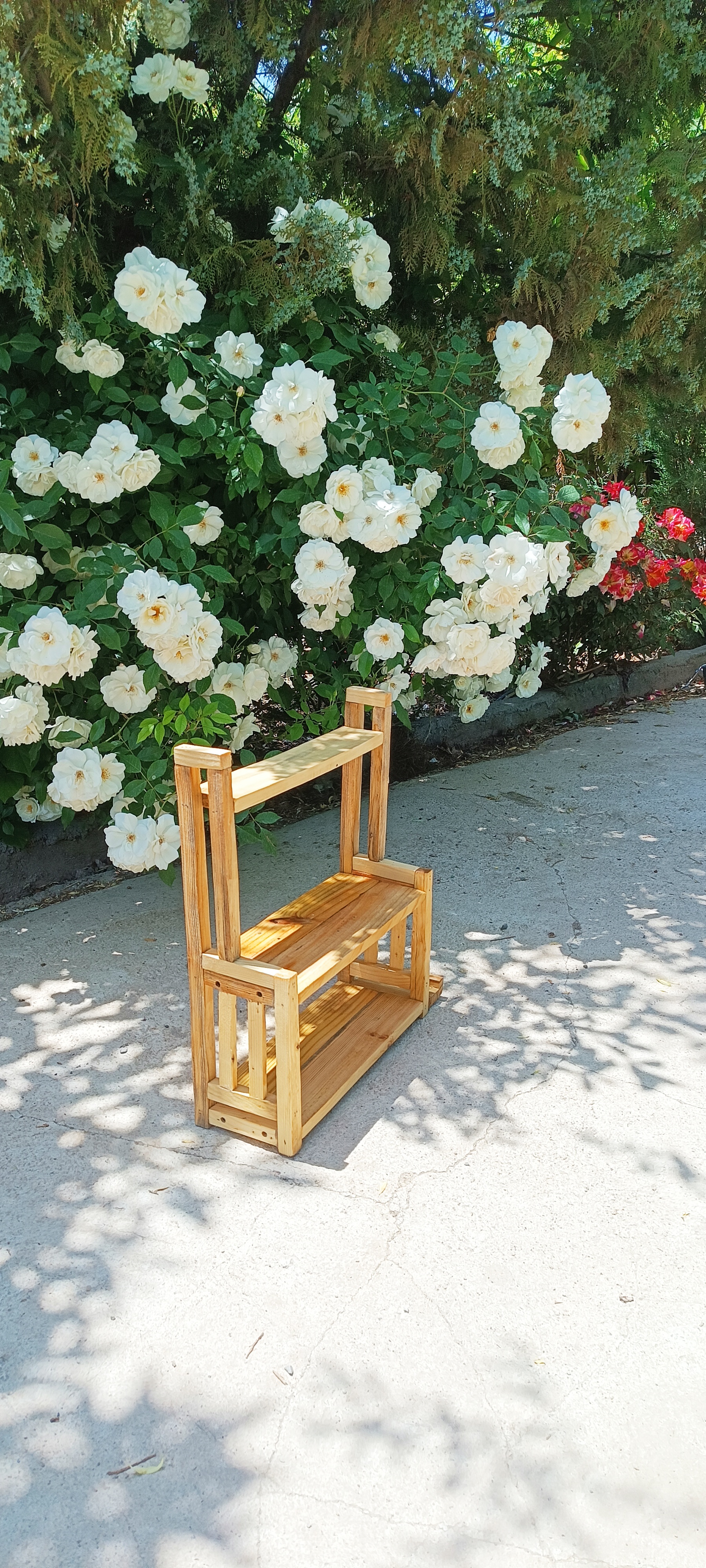 نظم دهنده آشپزخانه آقای نجار