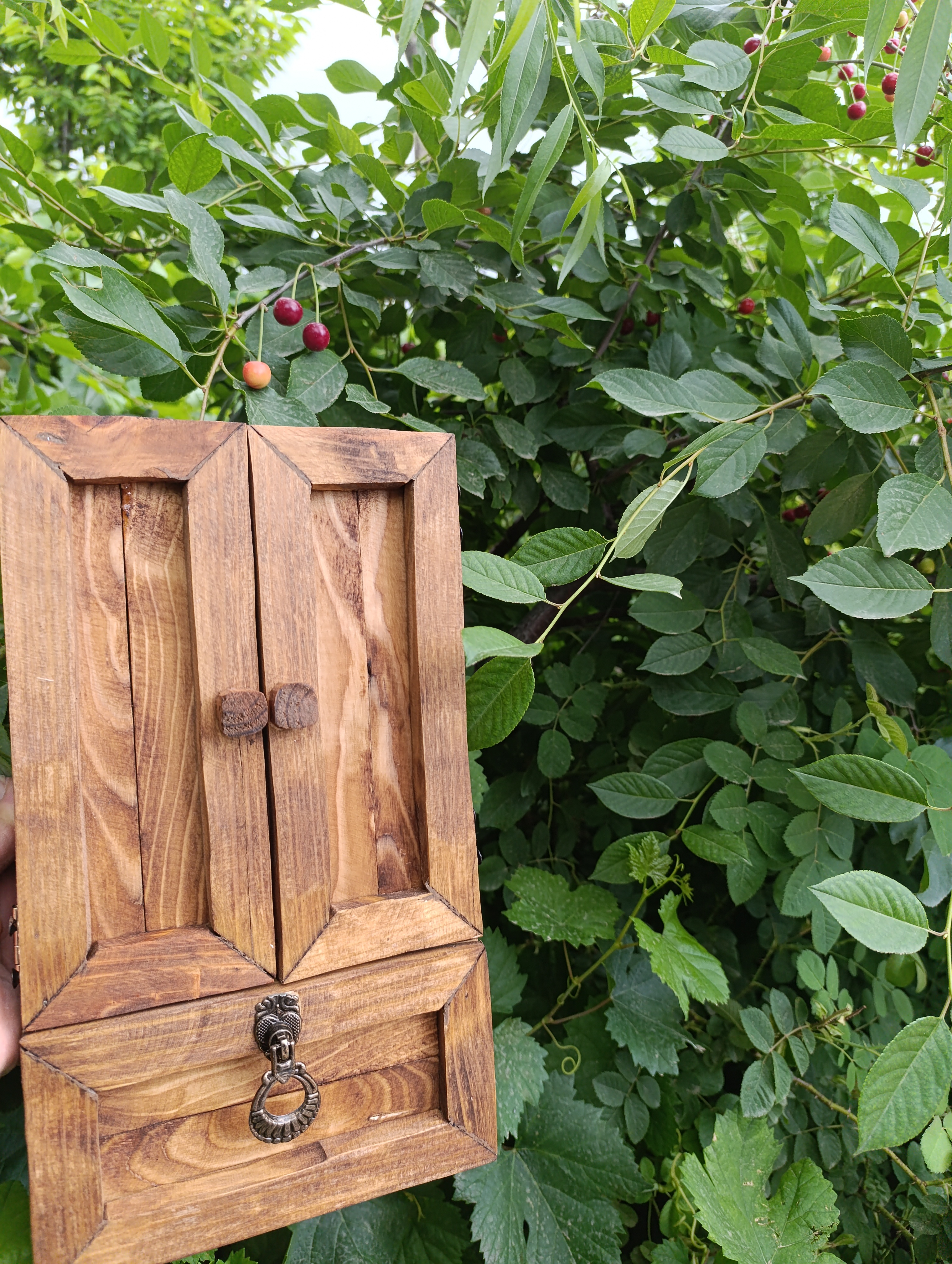 جا مسواکی خاص آقای نجار