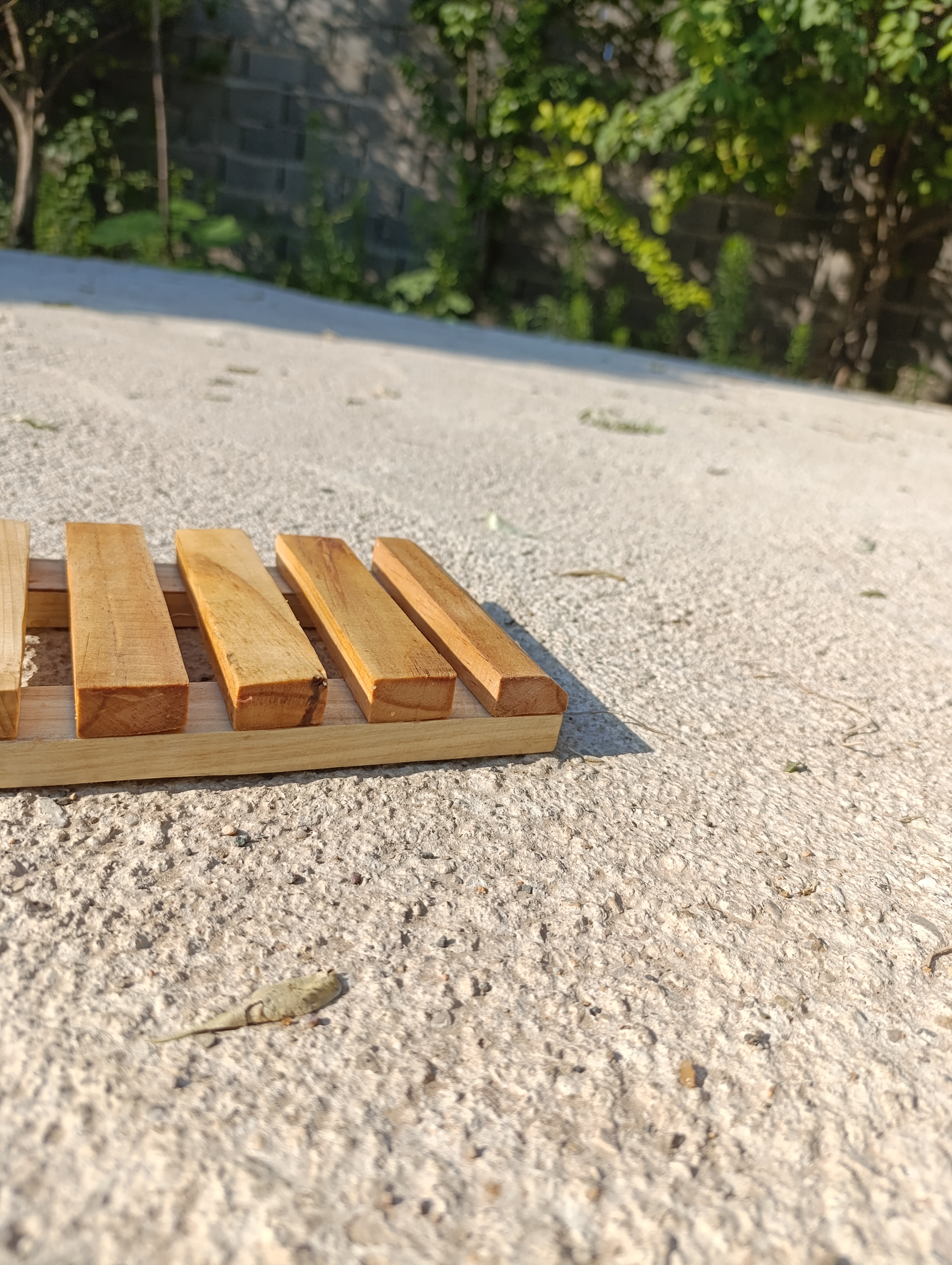استند بشقاب آقای نجار
