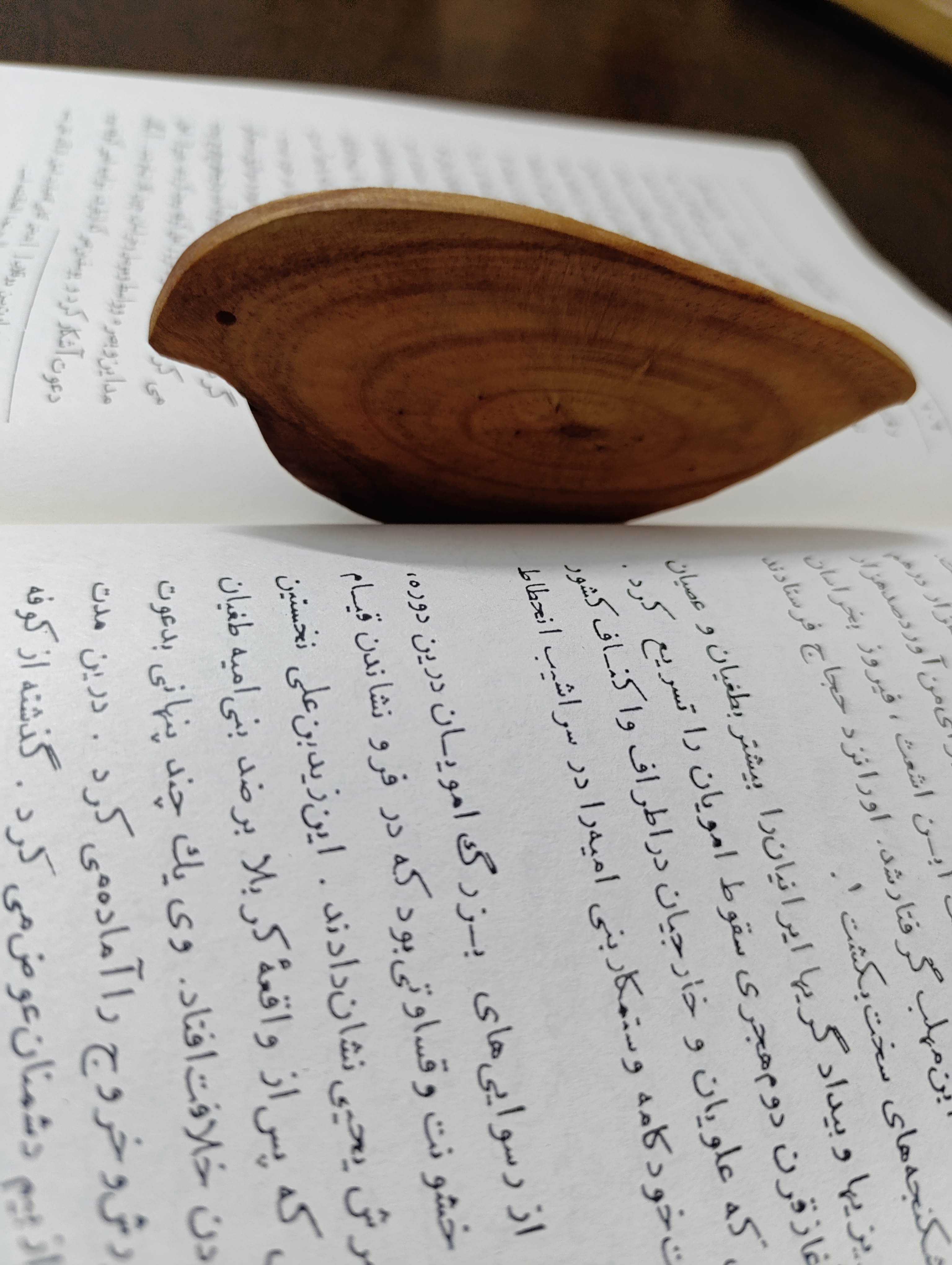 نشانک کتاب مدل گنجشک آقای نجار