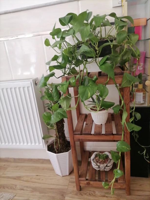 استند گلدان سه طبقه آقای نجار