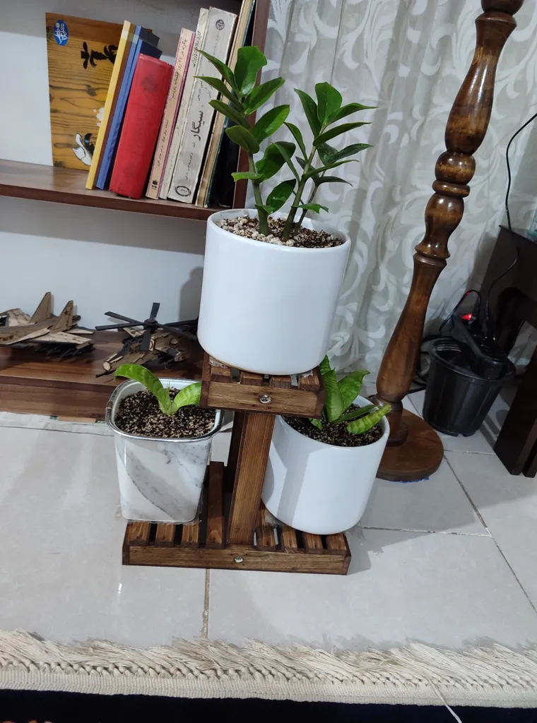 مینی استند گل آقای نجار