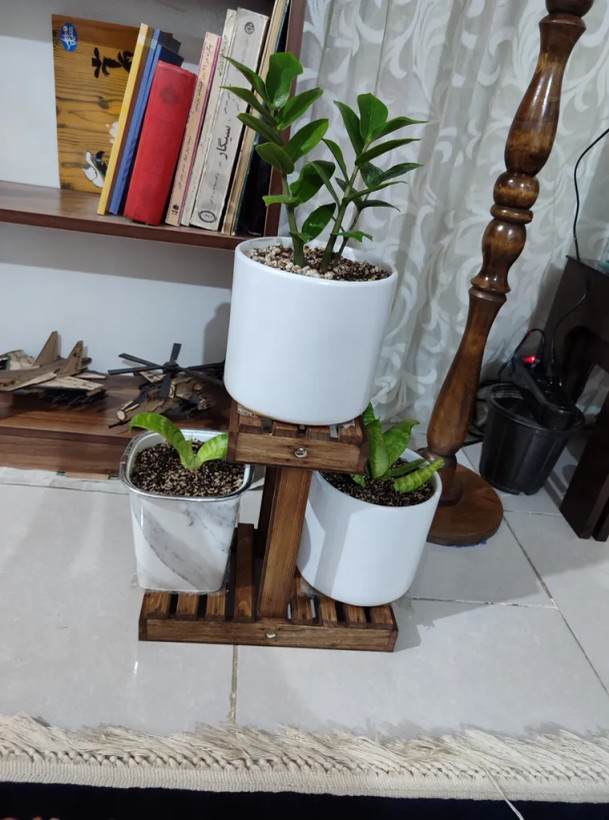 مینی استند گل آقای نجار