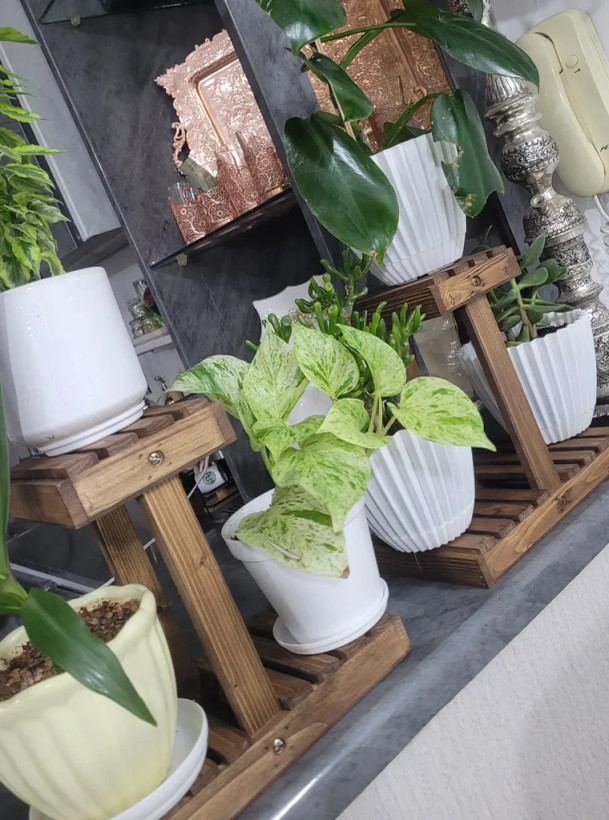 مینی استند گل آقای نجار