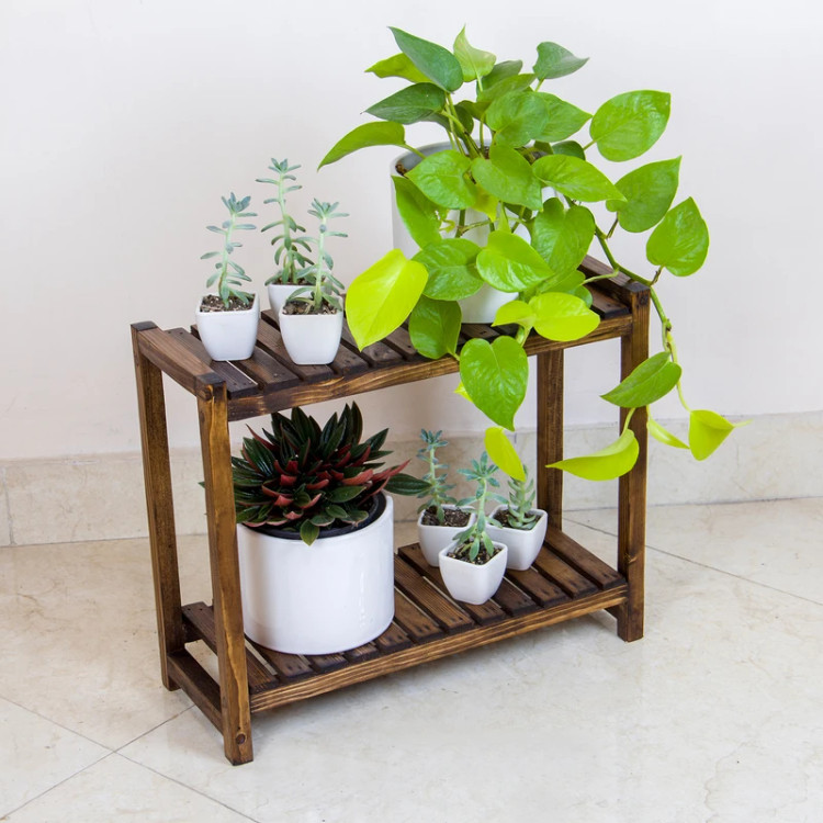 استند کاربردی گل و نظم دهنده آقای نجار